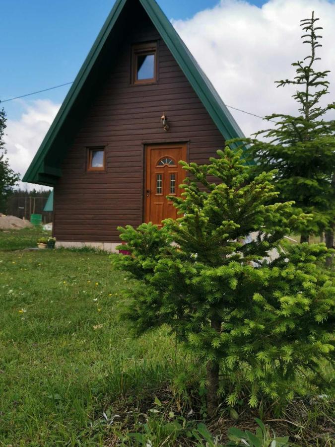 Etno Koliba Nikoleta Vila Žabljak Exterior foto